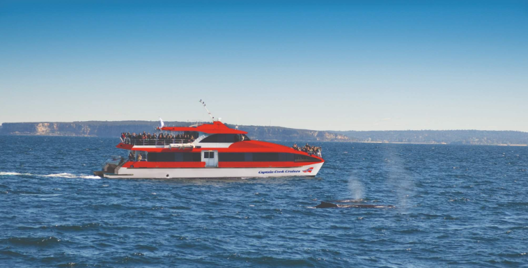 202512261604-5904239485.png image.png