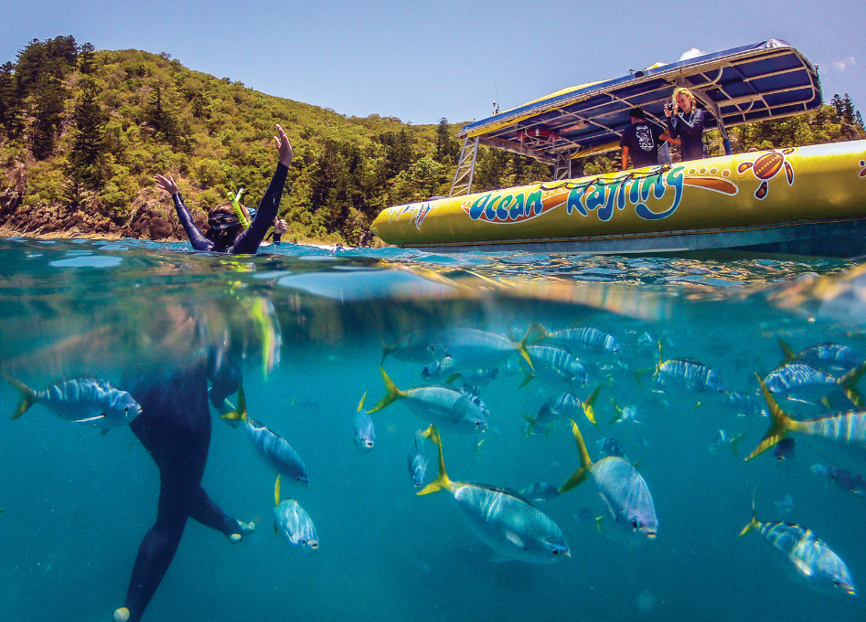 202512290932-2110982765.png image.png