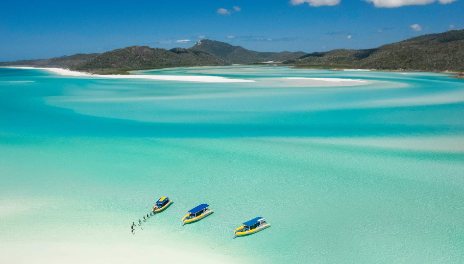 202512290932-3920621335.png image.png