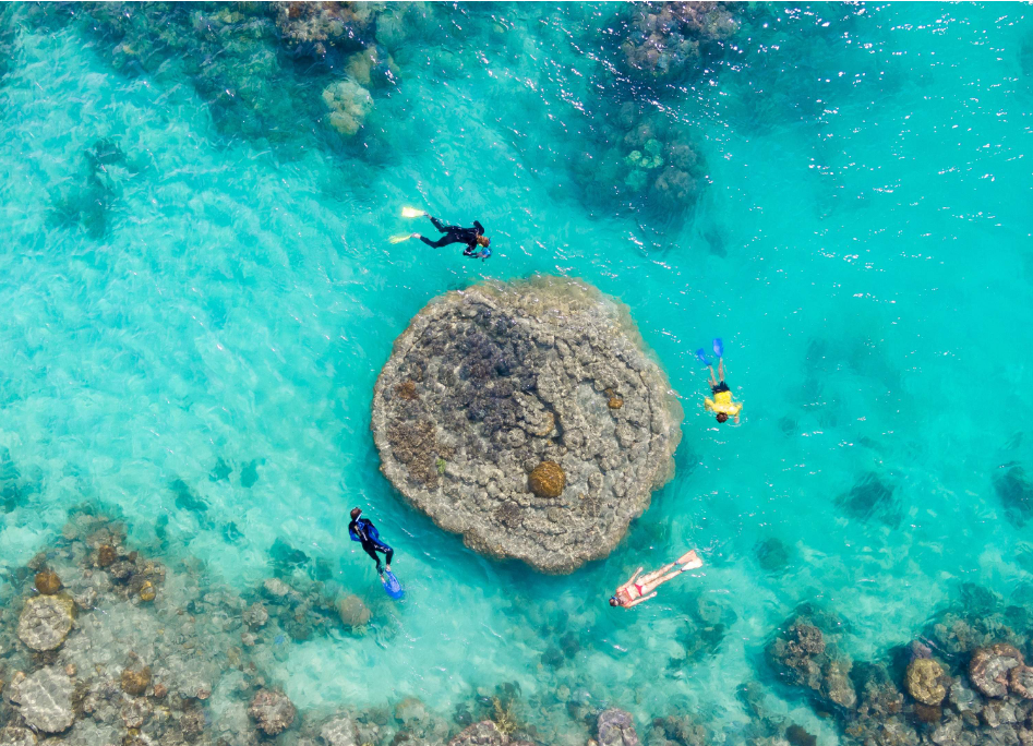 202512290933-2403429300.png image.png