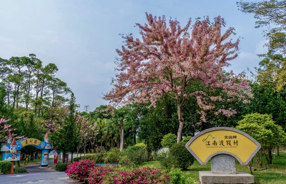 202512291102-2987351928.jpg undefined (4).jpg