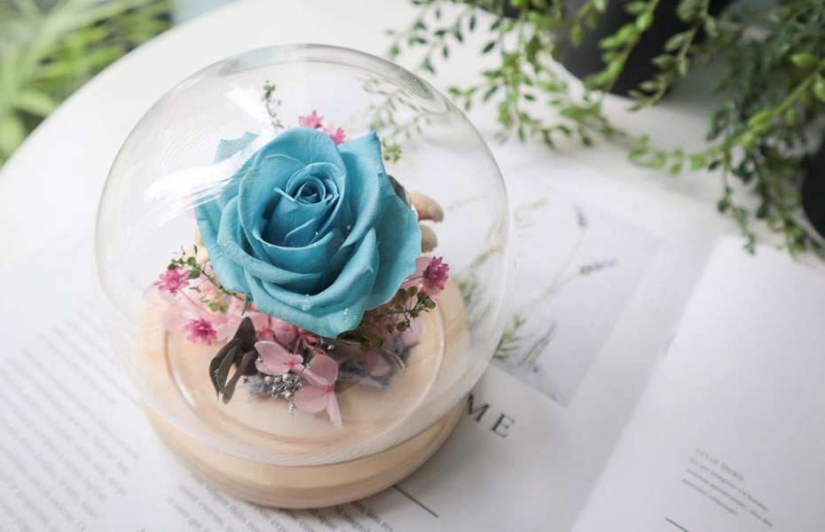 202512291153-4747970471.jpg undefined (2).jpg