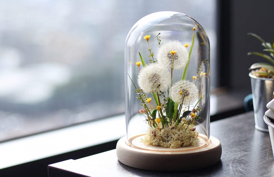 202512291154-4201685385.jpg undefined (10).jpg