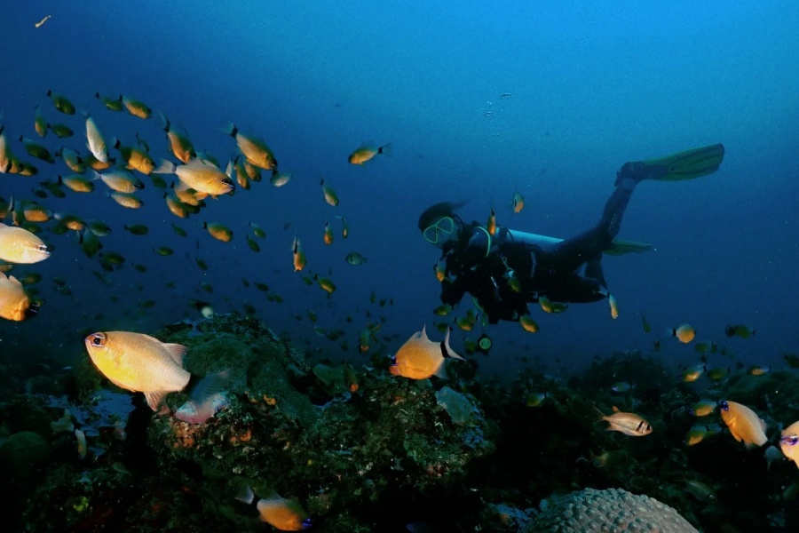 202512291343-3449529220.jpg 🏝️春节Boracay|长滩岛2日ow潜水证攻略🤿_4_冰美式去冰_来自小红书网页版.jpg