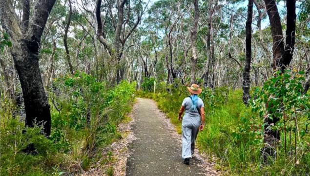 202512291405-2804854441.png image.png