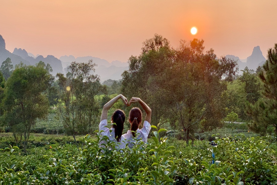 202512301051-1419835204.jpg 0101z1200085dc8shA567.jpg