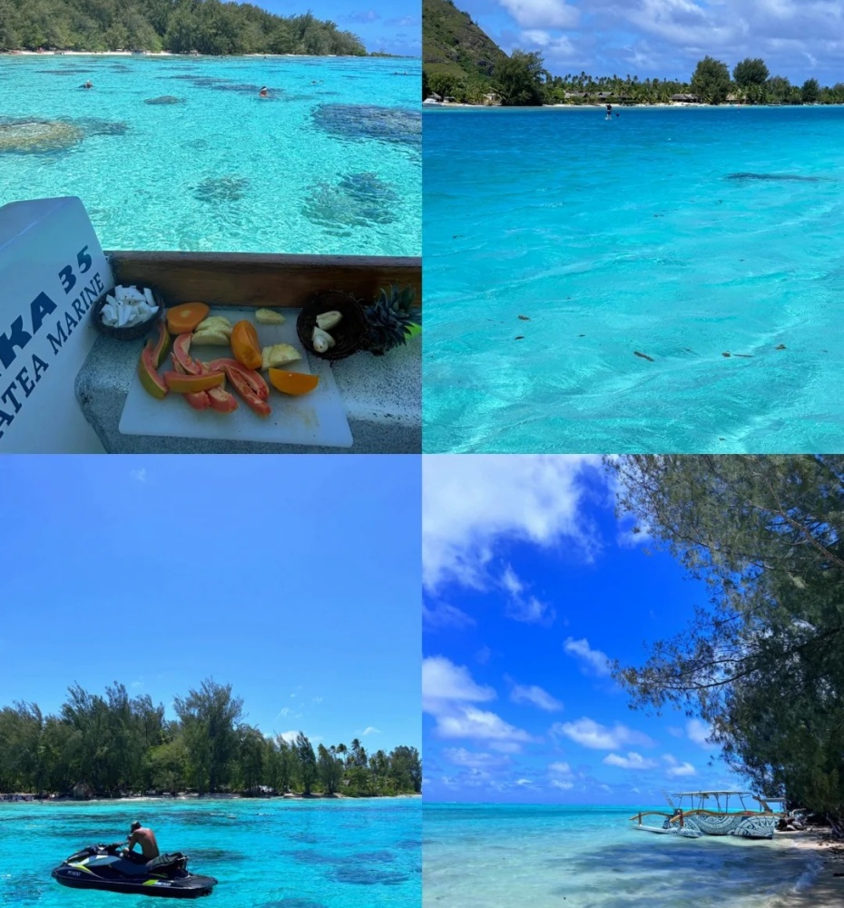 202512301117-8502772439.jpg 🏝️菲律宾:探索菲律宾的绝美海景_3_张梓淇Rev_来自小红书网页版.jpg