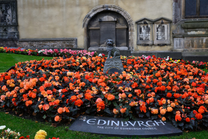 202512301356-3863362254.png image.png