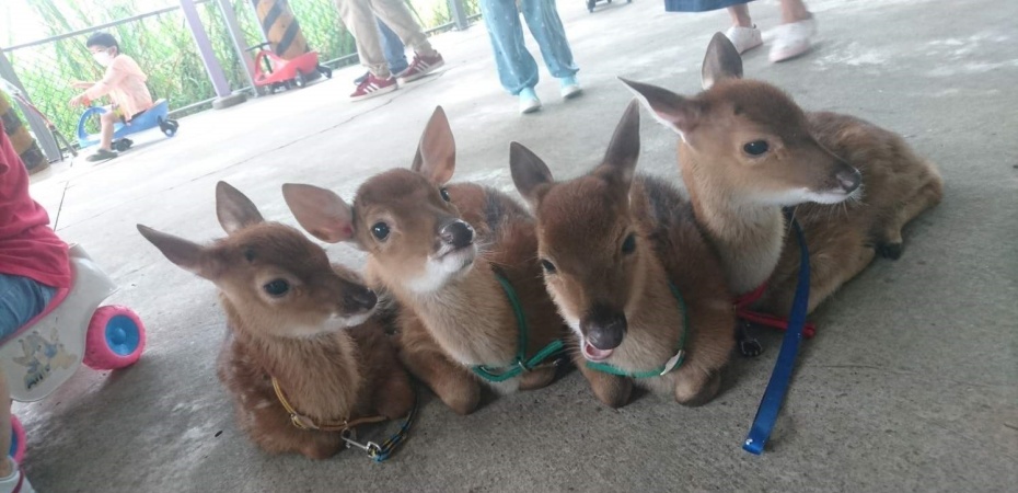 202512301433-1995291595.jpg undefined (1).jpg