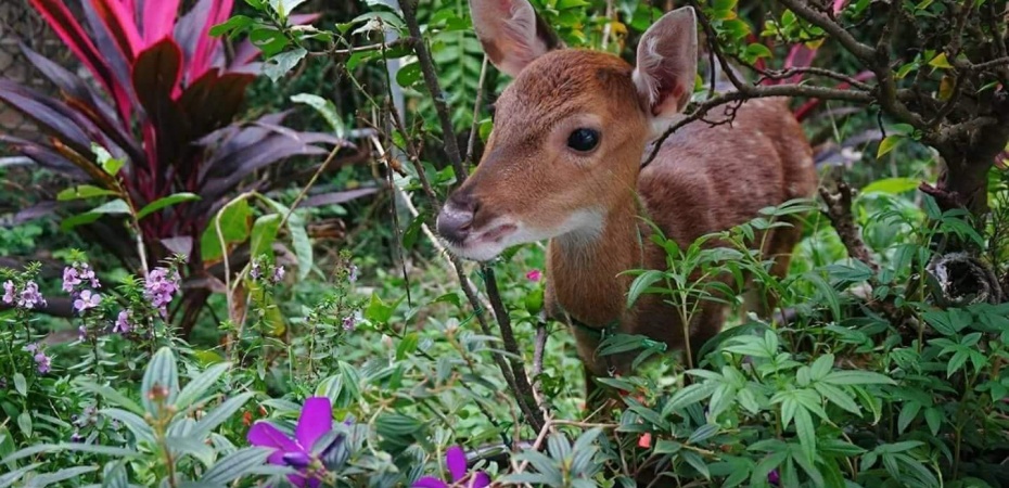 202512301433-3369875372.jpg undefined (2).jpg