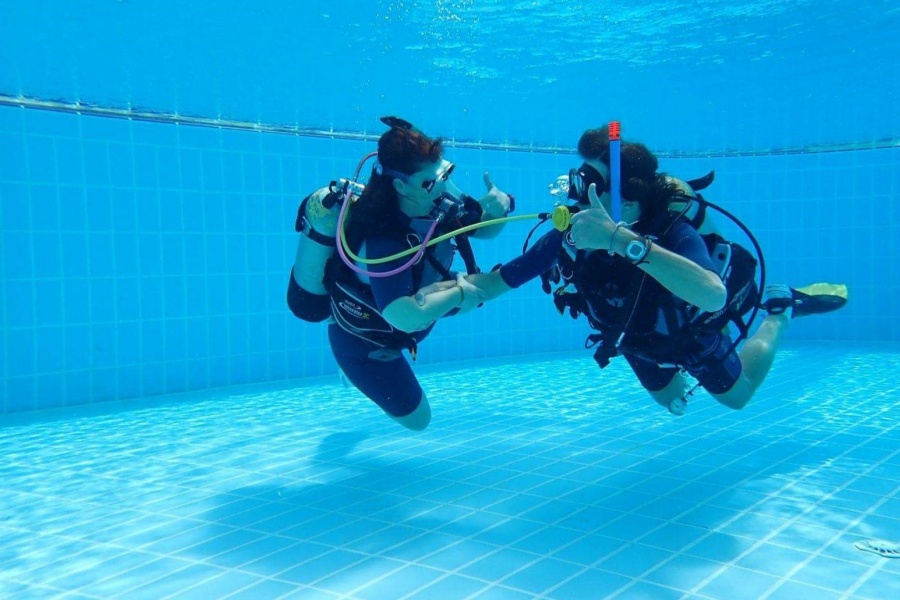 202512301735-3809532440.jpg DM_20251230173337_001.jpg