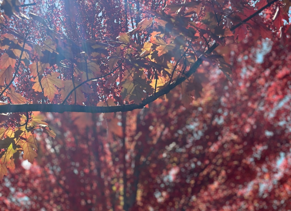 202512310922-5869773988.png image.png