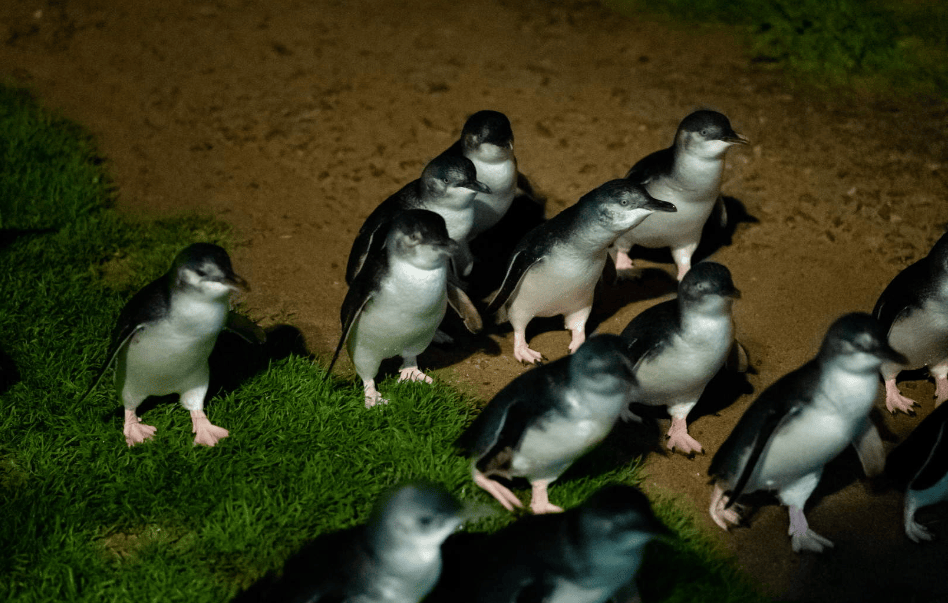 202512310946-1901884043.png image.png