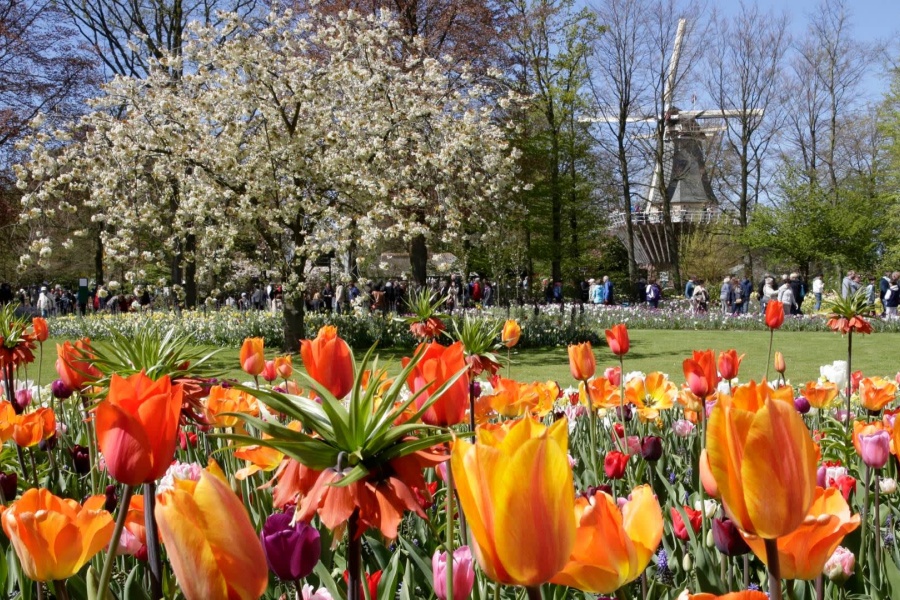 202512311337-2953857426.jpg DM_20251231133326_008.jpg