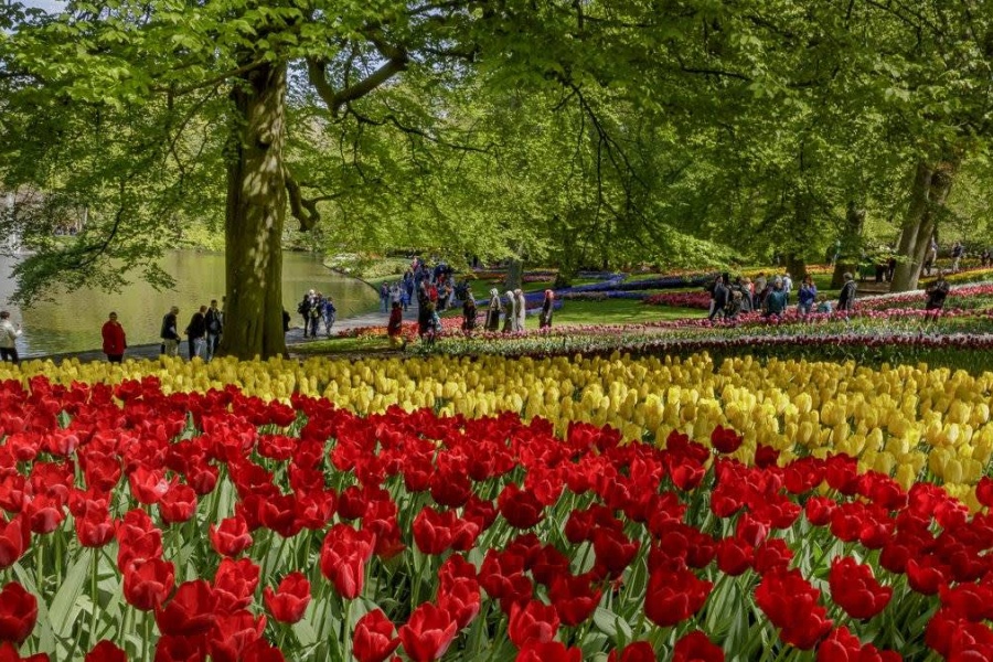 202512311337-6505922658.jpg DM_20251231133326_004.jpg