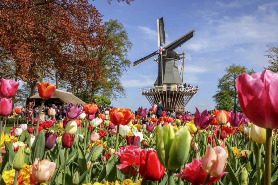 202512311337-8382786786.jpg DM_20251231133326_002.jpg