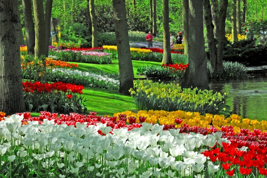 202512311337-9836748175.jpg DM_20251231133326_009.jpg