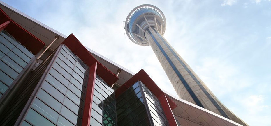 202601040850-3322096689.jpg 930-5.jpg