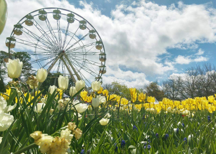 202601040946-7395020363.png image.png