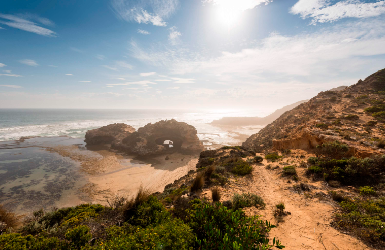 202601041014-6577874473.png image.png