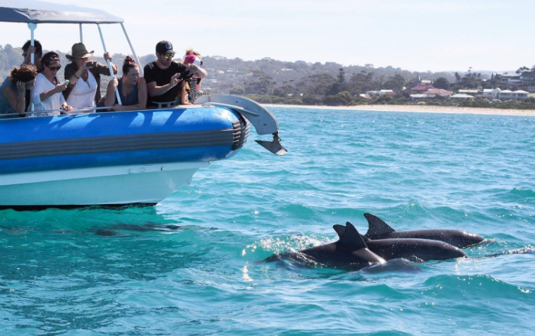 202601041328-6978348296.png image.png