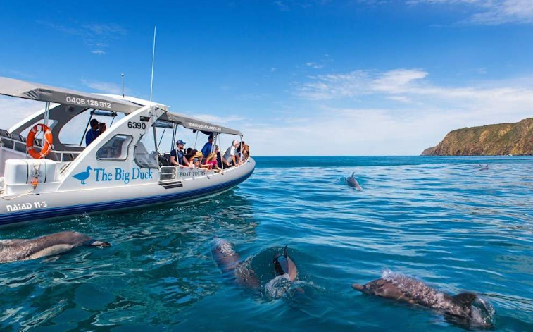 202601041329-8881502994.png image.png