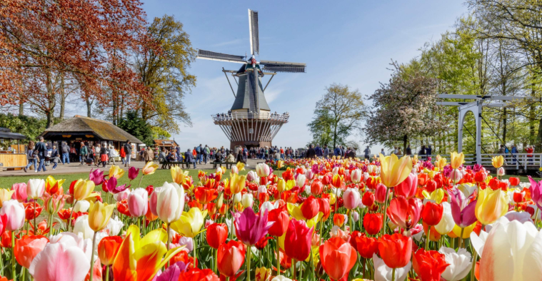 202601041544-7617867048.png image.png