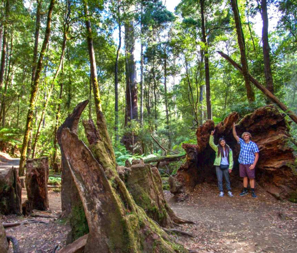 202601050908-5820992428.png image.png