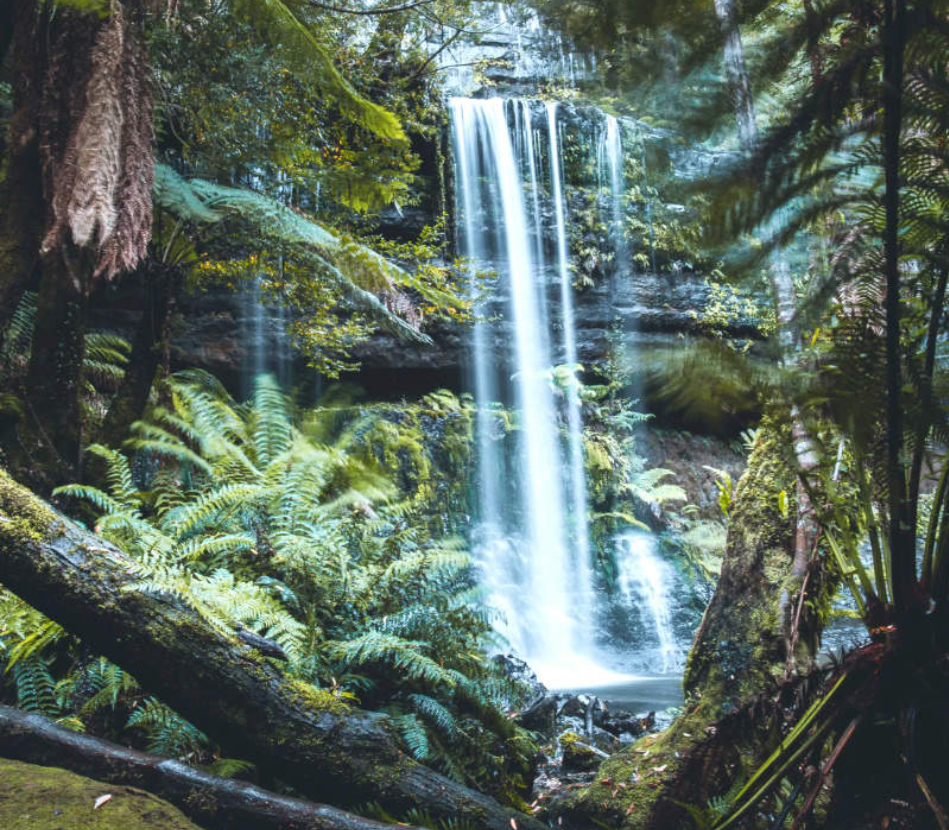 202601050910-4128295034.png image.png