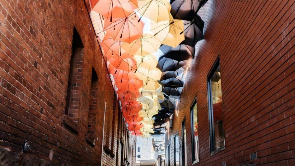 202601050942-8710794215.png image.png