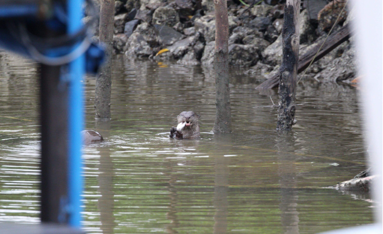 202601051024-6716205228.png image.png