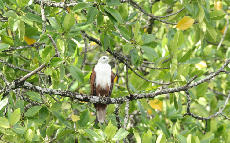 202601051024-9786461018.png image.png