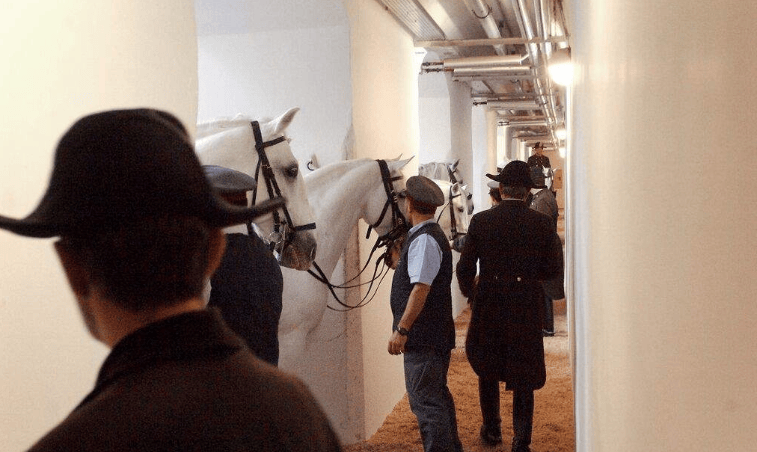 202601051333-1068466072.png image.png