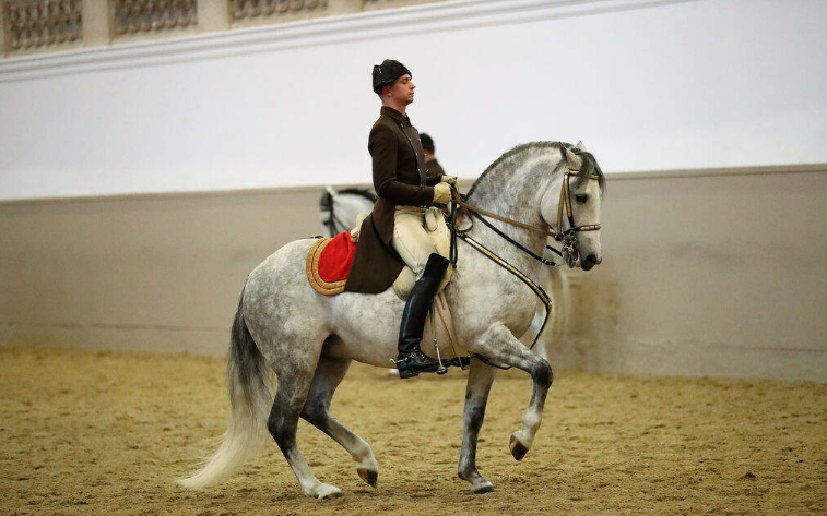 202601051334-7213900756.png image.png