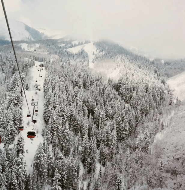 202601051522-4102429838.png image.png