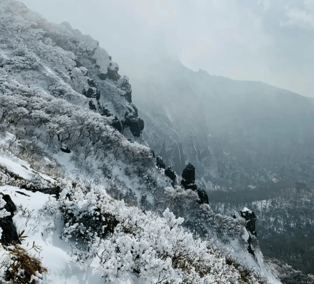 202601051523-8026233549.png image.png