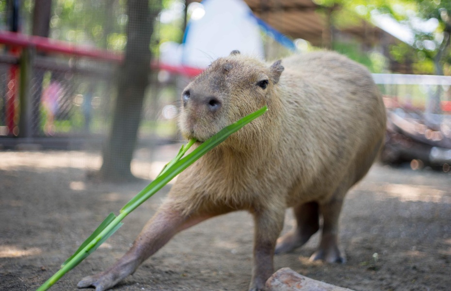 202601051622-6455082438.jpg undefined.jpg