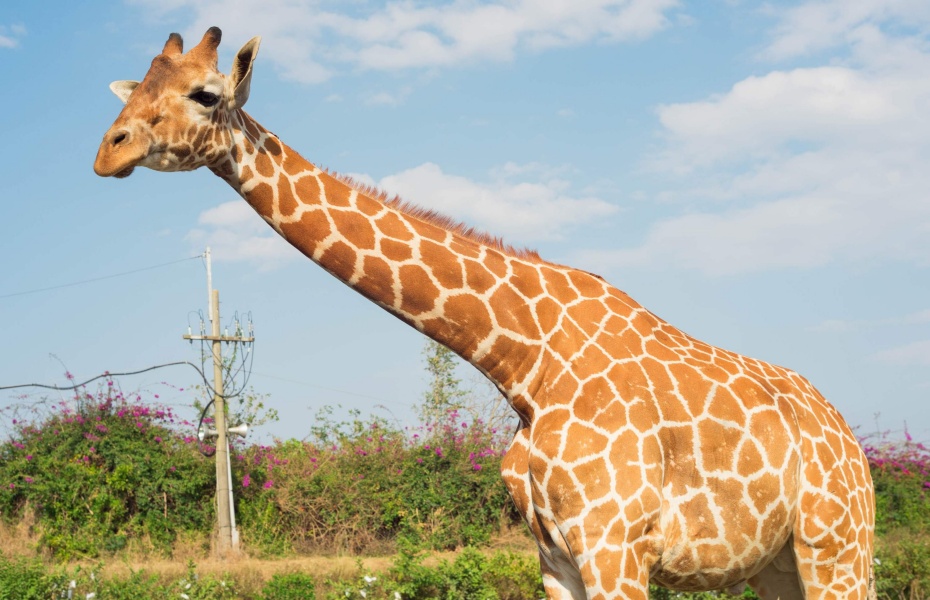 202601051623-1463293182.jpg undefined (7).jpg