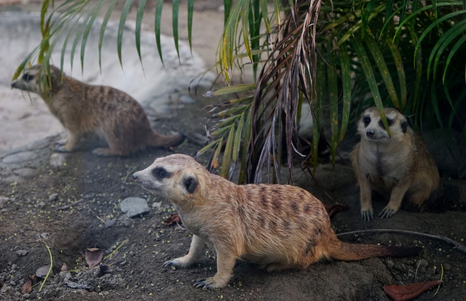 202601051623-3240294712.jpg undefined (2).jpg