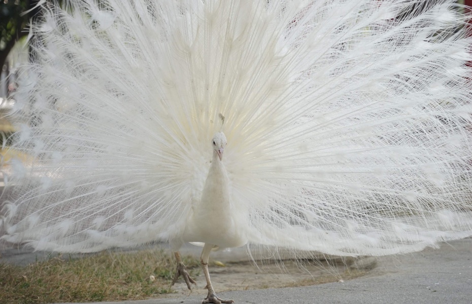 202601051623-5801511005.jpg undefined (4).jpg