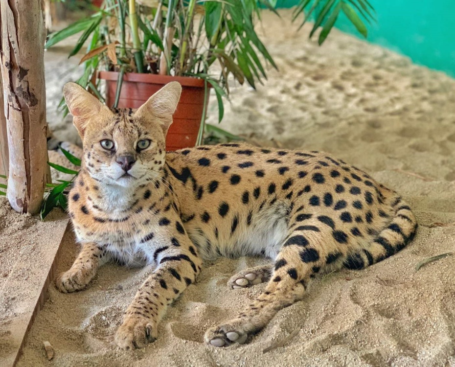 202601051623-6525230164.jpg undefined (5).jpg