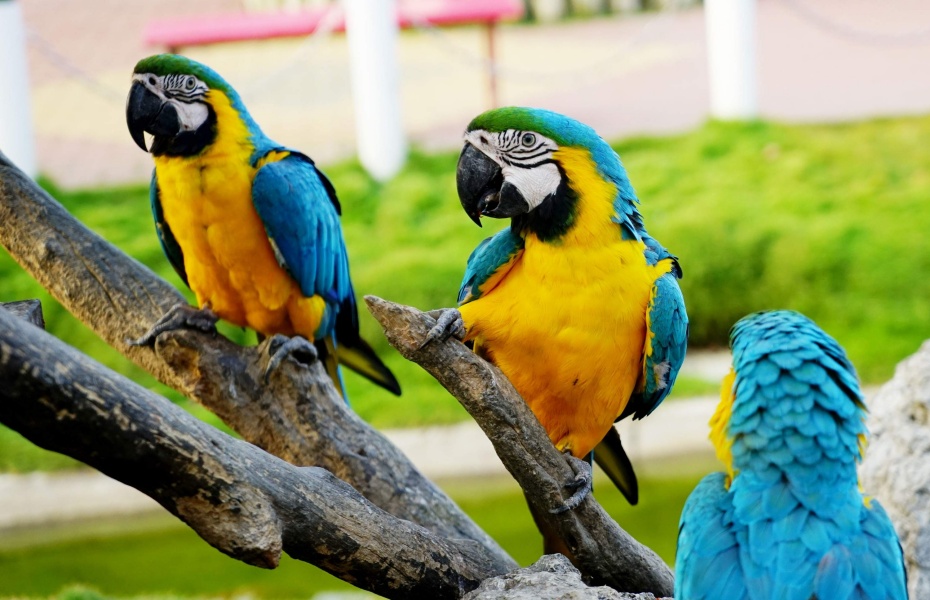 202601051623-8857680633.jpg undefined (6).jpg