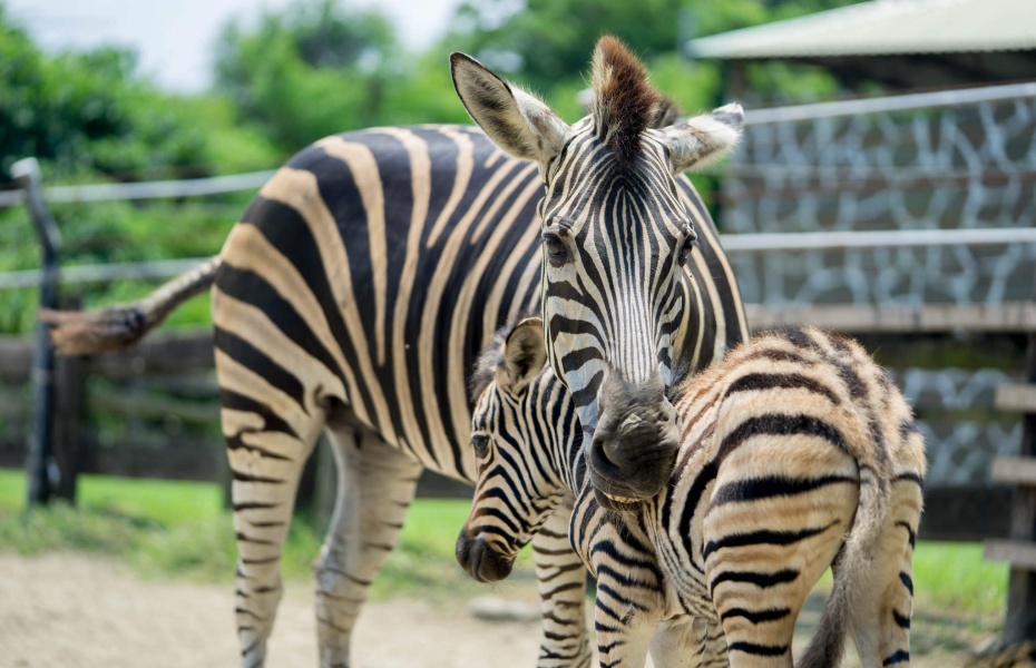 202601051624-8527880627.jpg undefined (8).jpg