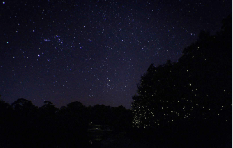 202601061057-4473923922.png image.png