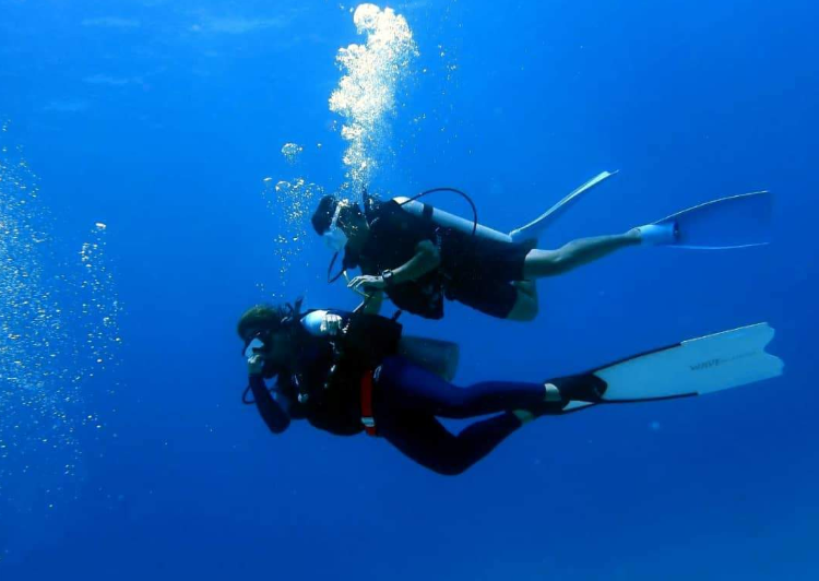 202601061059-2735299573.png image.png