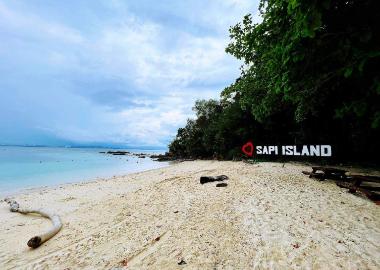 202601061147-1723022680.png image.png