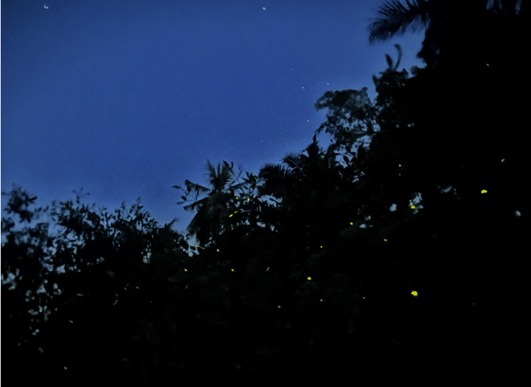 202601061406-1260249540.png image.png