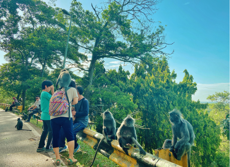 202601061406-2477479163.png image.png