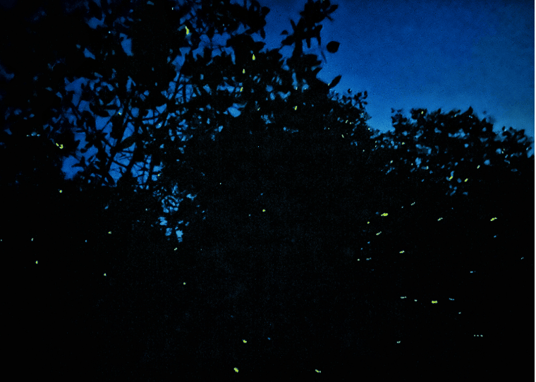 202601061406-4798924764.png image.png