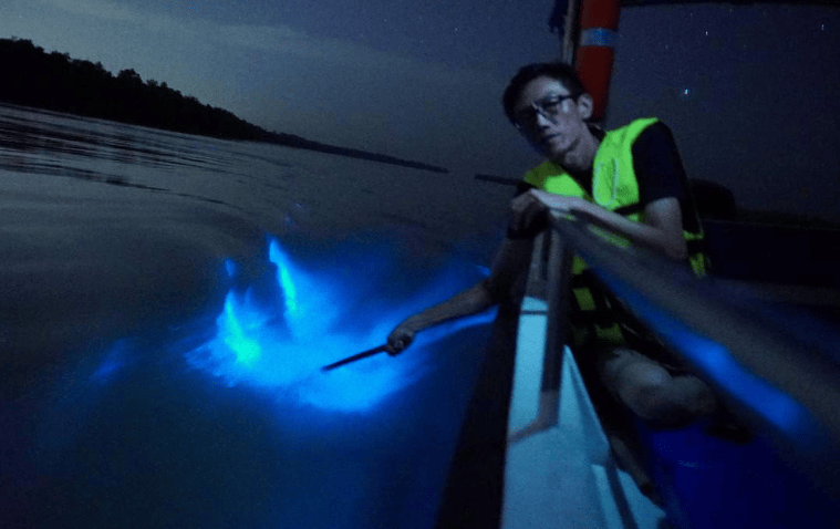 202601061409-6015612759.png image.png